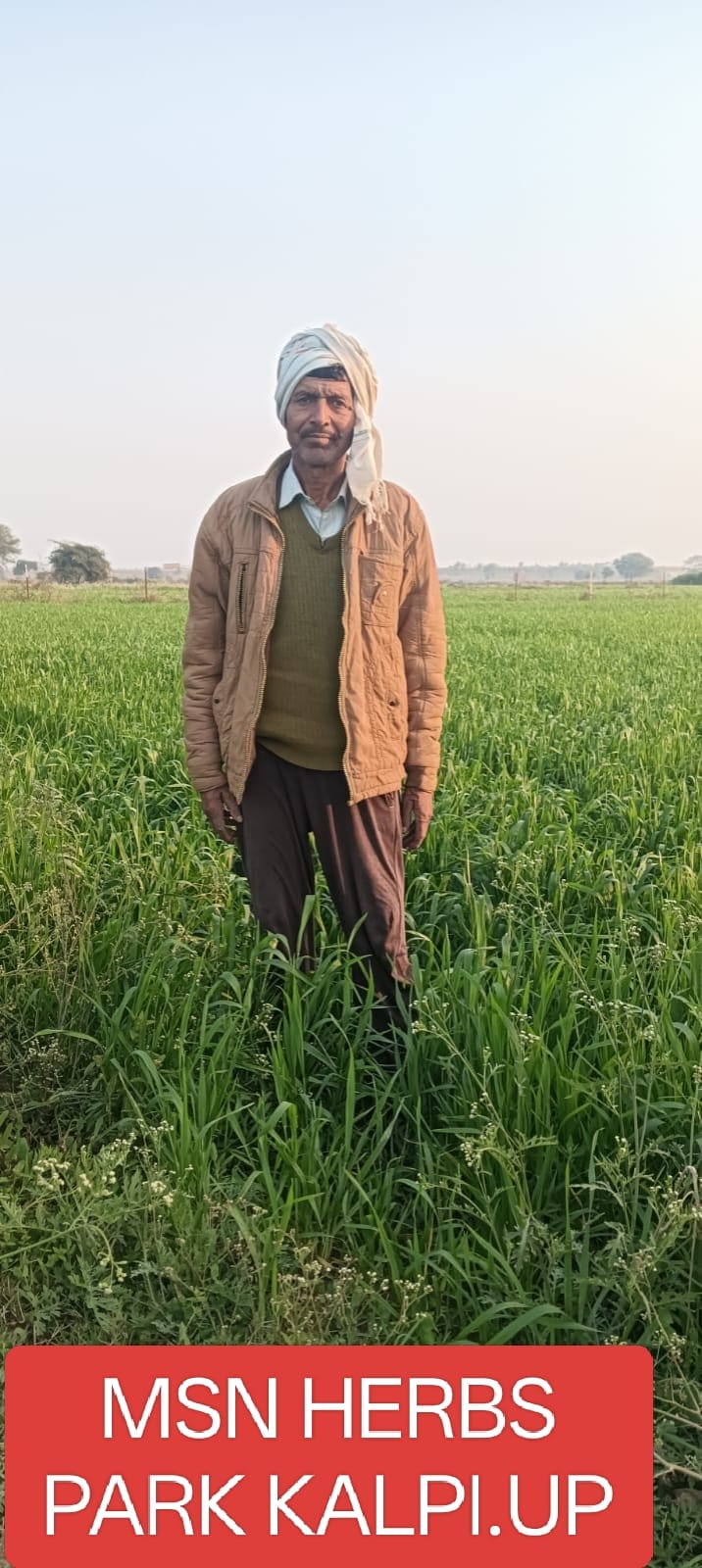 Farmer tending to crops