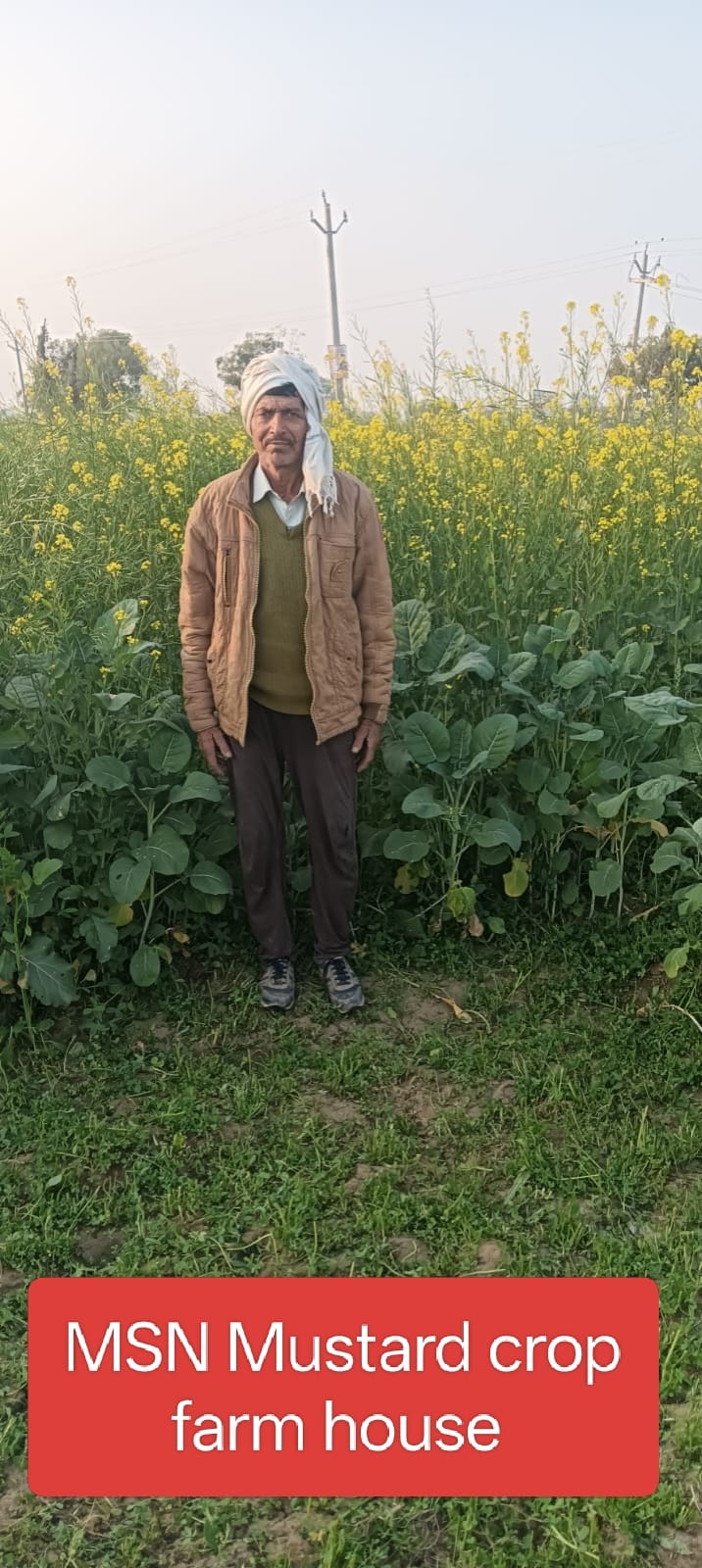 Sun drying herbs naturally